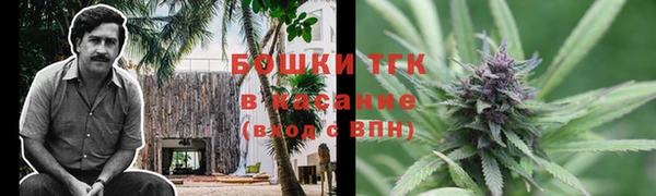 дживик Михайлов
