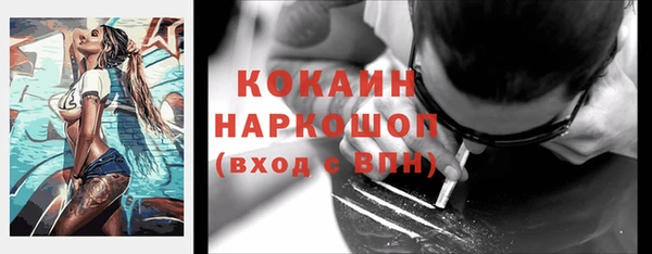 соль ск Михайловск