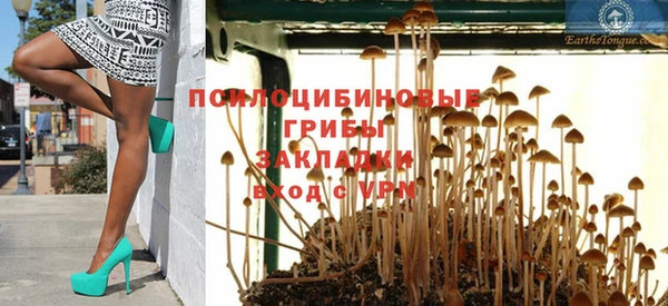 дживик Михайлов