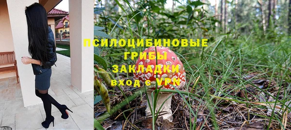 соль ск Михайловск