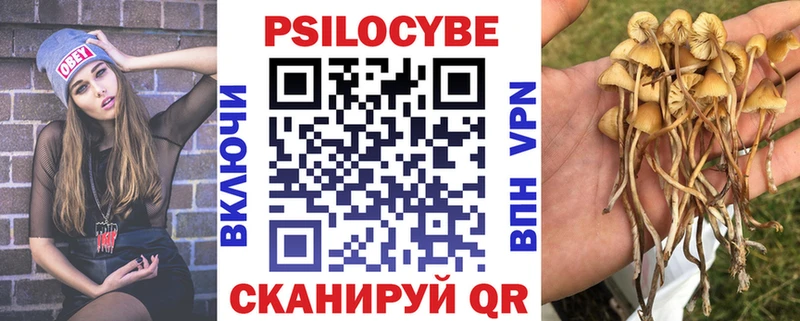 Галлюциногенные грибы Psilocybe  кракен как войти  Чусовой 